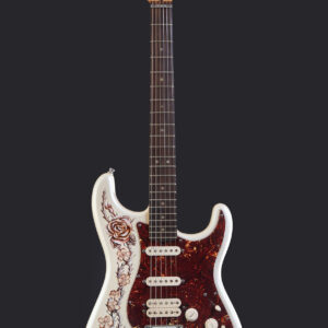 Alternative view of Cayambe and Roses